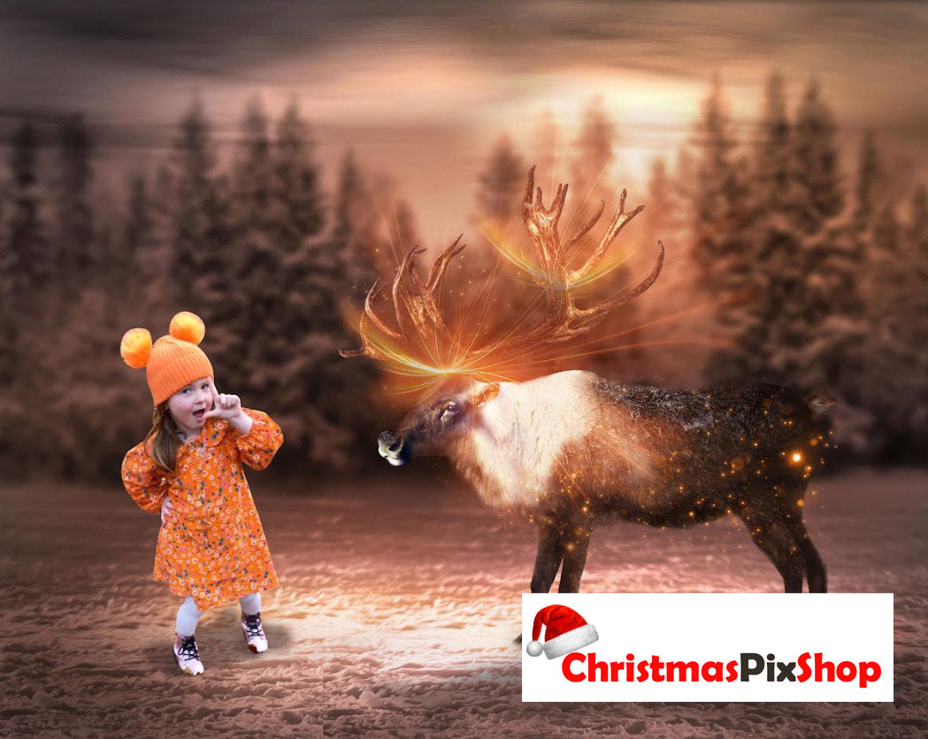 MEET THE REINDEER | HIGH QUALITY IMAGE | £12.99! Was £1̶4̶.9̶9̶! ⭐⭐⭐⭐⭐