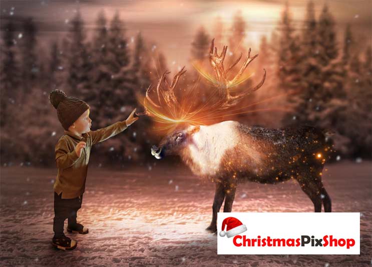 MEET THE REINDEER | HIGH QUALITY IMAGE | £12.99! Was £1̶4̶.9̶9̶! ⭐⭐⭐⭐⭐