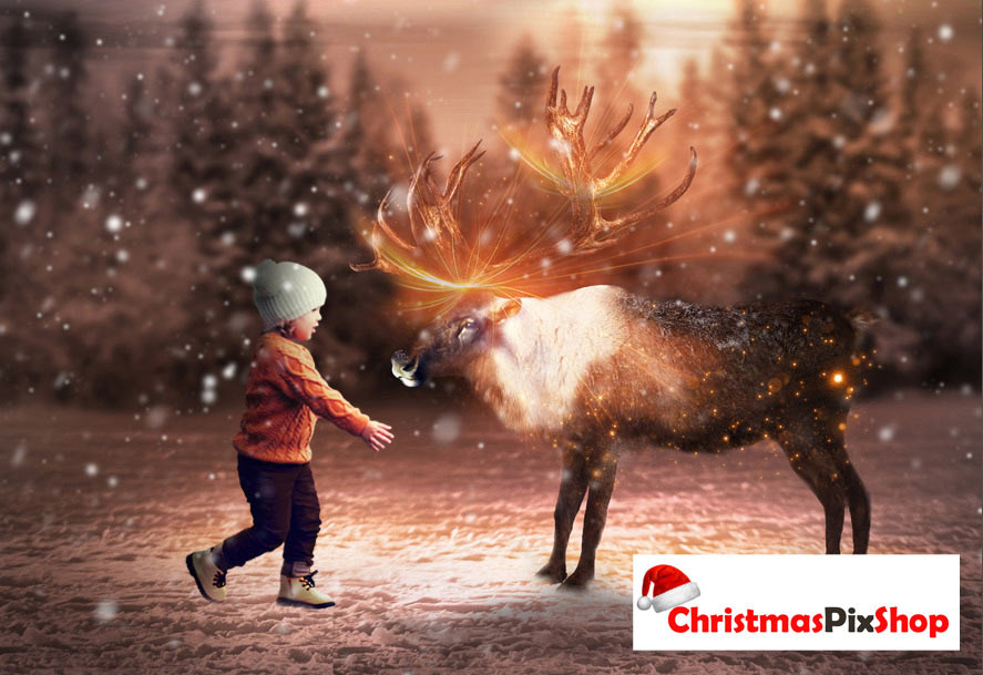 MEET THE REINDEER | HIGH QUALITY IMAGE | £12.99! Was £1̶4̶.9̶9̶! ⭐⭐⭐⭐⭐