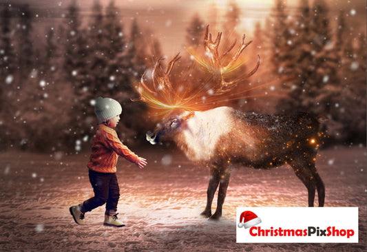 MEET THE REINDEER | HIGH QUALITY IMAGE | £12.99! Was £1̶4̶.9̶9̶! ⭐⭐⭐⭐⭐